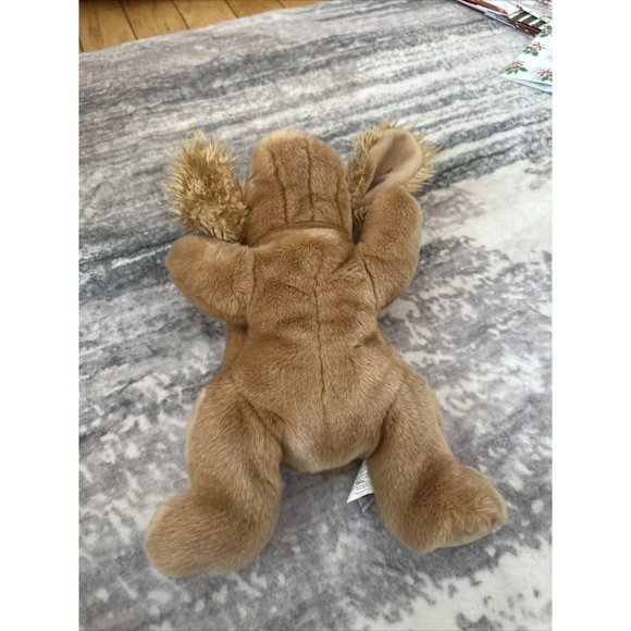 Ty The Beanie Babies Collection Spunky Dog Plush Toy Retired 13 Inch MINT - Picture 4 of 4